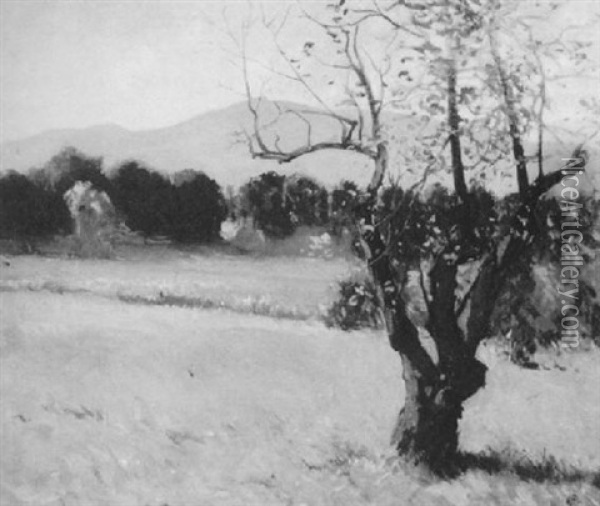 Fields Below Mount Monadnock Oil Painting - Hermann Dudley Murphy