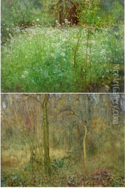 Oxeye Daisies And Other Flowers In A Meadow Oil Painting - Arthur Hacker