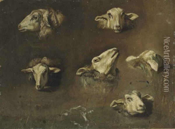 Six Studies Of Sheep Heads Oil Painting - Francesco Londonio