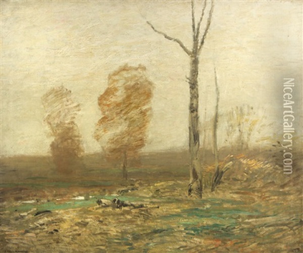 Late Autumn Field, 1921 Oil Painting - John Francis Murphy