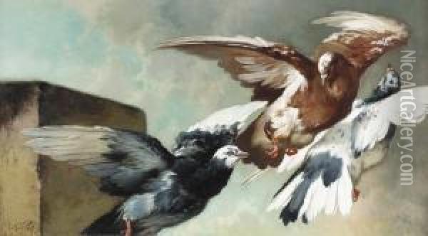 Fliegende Tauben. Oil Painting - Charles Verlat
