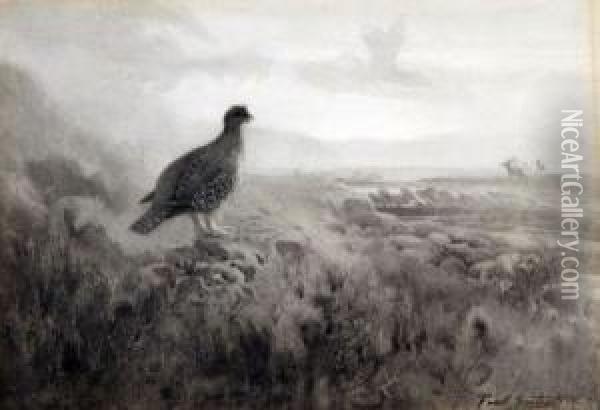 Dawn On The Moor Oil Painting - Frank Southgate