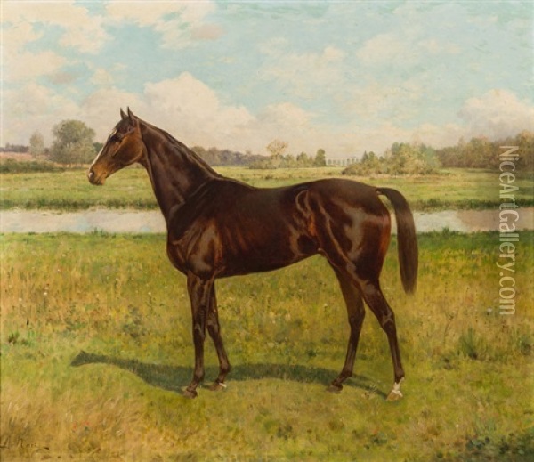 Rennpferd Auf Der Koppel Oil Painting - Ernest (Marie-Joseph-E.) Lenail