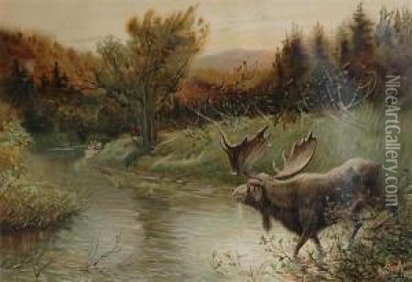 [moose Surprised] Chromolithograph. Oil Painting - Henry John Sandham