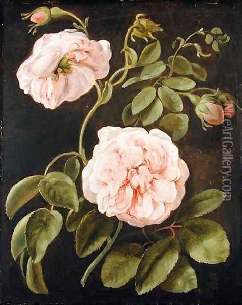 Flower Study Oil Painting - Friedrich Tischbein