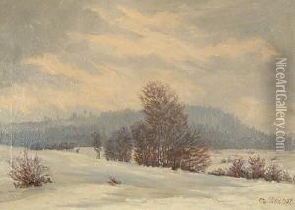 Paisaje Nevado. Oil Painting - Otto Pilz