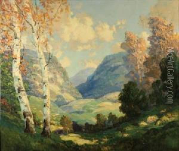 Birch Trees In A Summer Landscape Oil Painting - Walter Koeniger