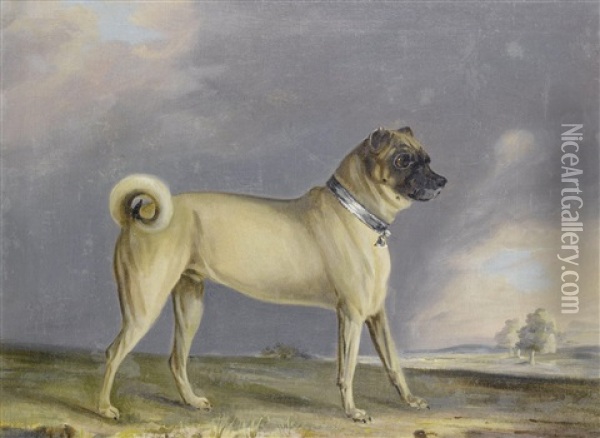A Favourite Pug Bitch (+ A Pug Dog; Pair) Oil Painting - Henry Bernard Chalon