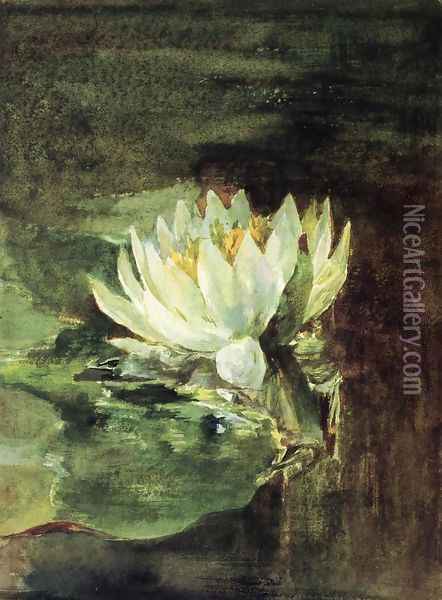 Single Water Lily In Sunlight Oil Painting - John La Farge