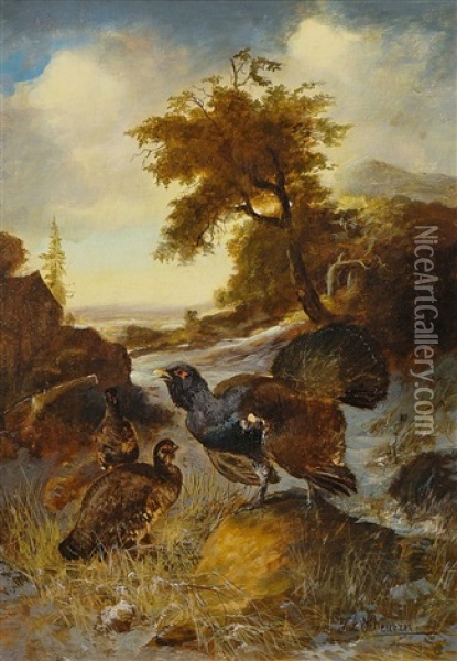Balzender Auerhahn Mit Zwei Hennen Auf Einer Waldlichtung Oil Painting - Julius Scheuerer