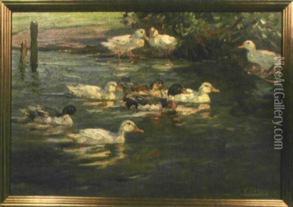 Enten Auf Einem Teich Oil Painting - Willy Tietjen
