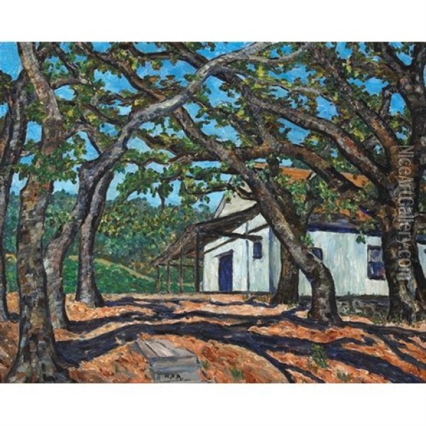 Interlacing Branches, Jack London's Ranch, Glen Ellen Oil Painting - Herman Oliver Albright