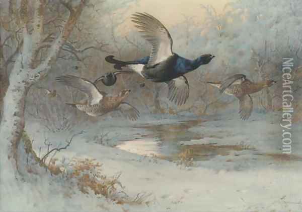 Untitled Oil Painting - Archibald Thorburn