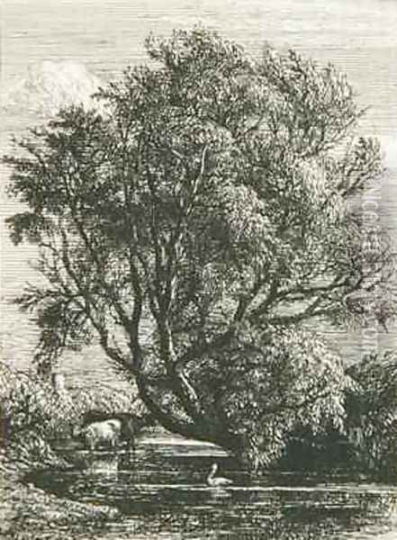 The Willow Oil Painting - Samuel Palmer