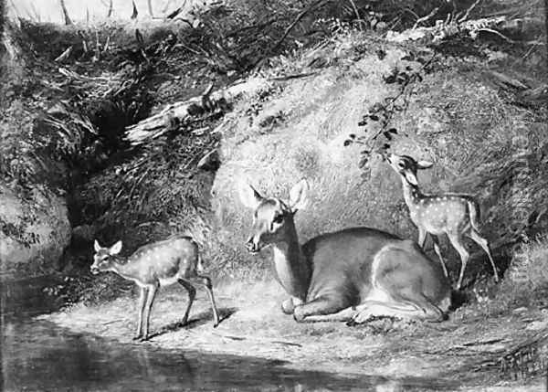 Doe and Two Fawns Oil Painting - Arthur Fitzwilliam Tait