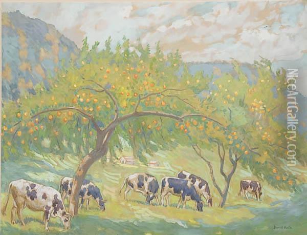 Cows Grazing In Orchard Oil Painting - Daniel Kotz