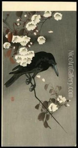 Crow On A Cherry Branch Oil Painting - Ohara Koson