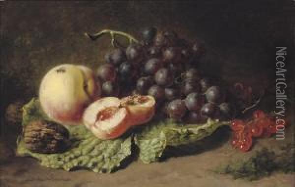 Walnuts, Peaches, Grapes And Blackberries Oil Painting - Adriana-Johanna Haanen