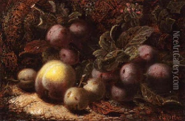 Plums And Peaches On A Mossy Bank Oil Painting - Oliver Clare