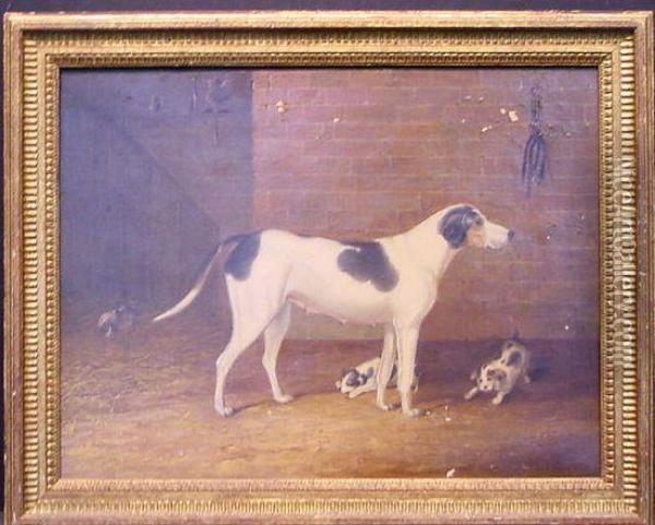 Mother With Puppies Oil Painting - William Forrest