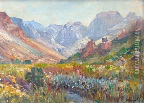 Mountainous Landscape Oil Painting - Pieter Hugo Naude