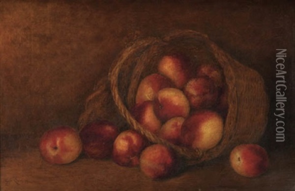 Still Life With Peaches Oil Painting - Carducius Plantagenet Ream