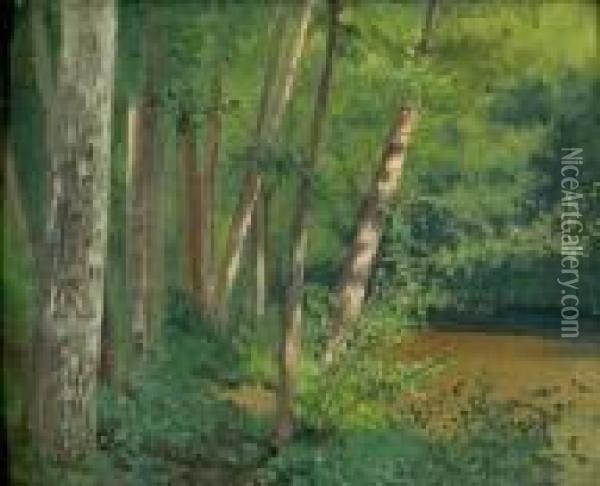 La Foret Oil Painting - Federico Rossano