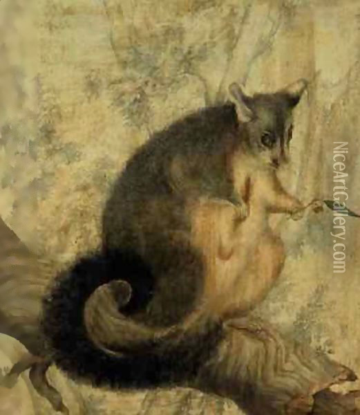 The Possum Oil Painting - Caroline Louisa Atkinson