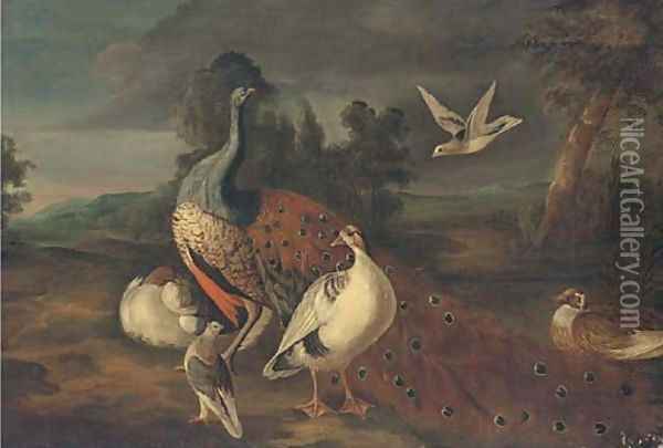 A peacock, woodpigeons and other fowl in an extensive landscape Oil Painting - Marmaduke Cradock