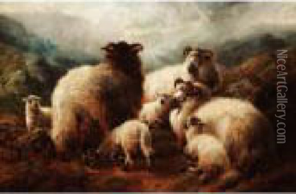 Sheep On A Hillside Oil Painting - Robert Watson