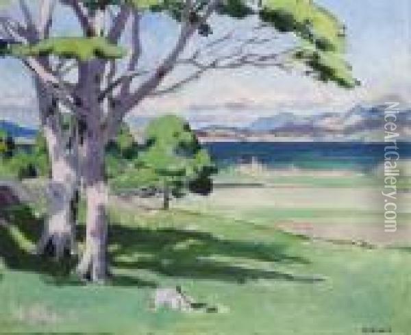 The West Highlands And The Sound Of Mull Oil Painting - Francis Campbell Boileau Cadell