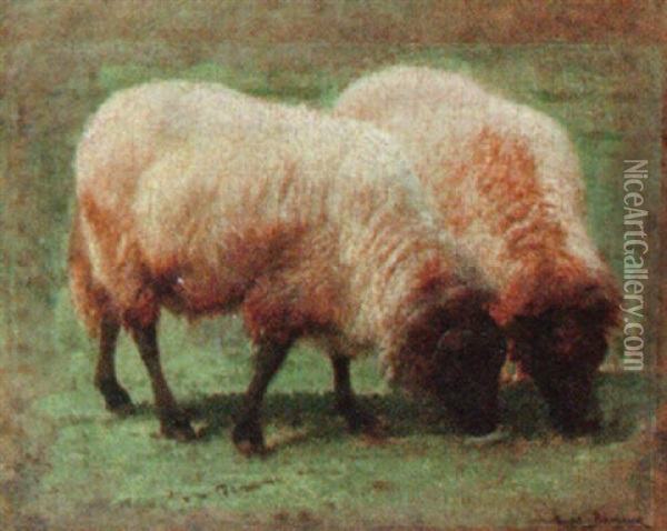 Two Grazing Sheep Oil Painting - Rosa Bonheur