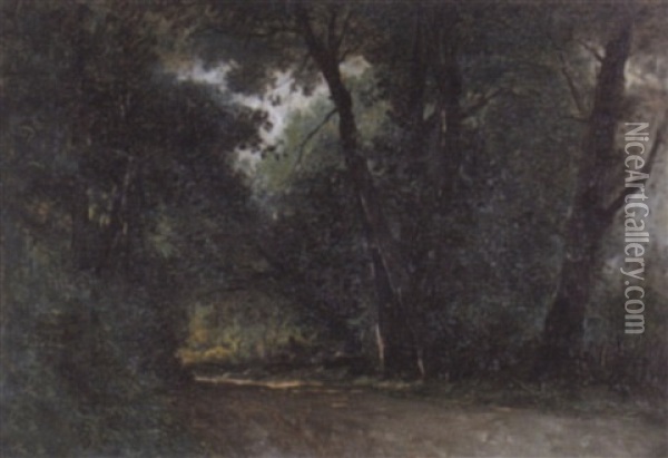 Strasse Im Wald Oil Painting - Gustave Eugene Castan