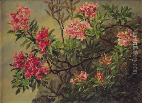 Oleander Oil Painting - Anthonie Eleonore (Anthonore) Christensen