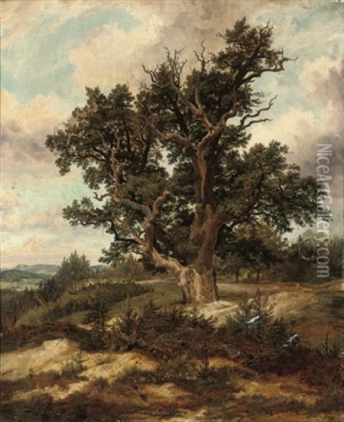 Tree On A Mountain Pass Oil Painting - Ferdinand Bellermann