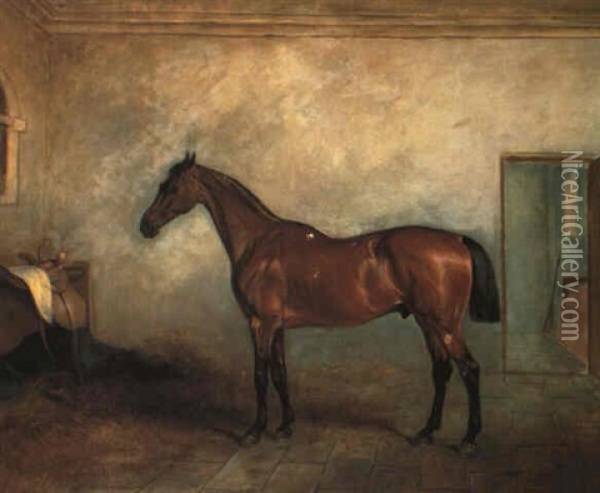 Lady Middleton's Hunter 'benedict' In A Stable Oil Painting - John E. Ferneley