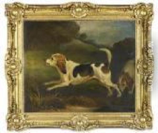 Study Of A Terrier In Landscape Oil Painting - John Snr Ferneley