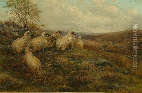 Sheep On The North Yorkshire Moors Oil Painting - William Henderson