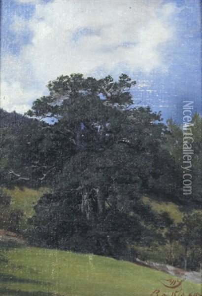 Wiesenhang Mit Steineiche Oil Painting - Wilhelm Schmitt