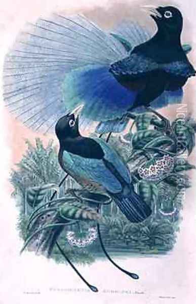 Blue Bird of Paradise Oil Painting - William M. Hart