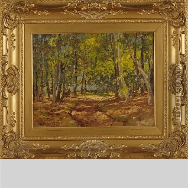Woodland Scene Oil Painting - William Bradley Lamond