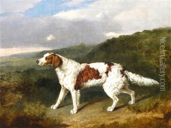 An Irish Red And White Setter In A Landscape Oil Painting - Abraham Cooper