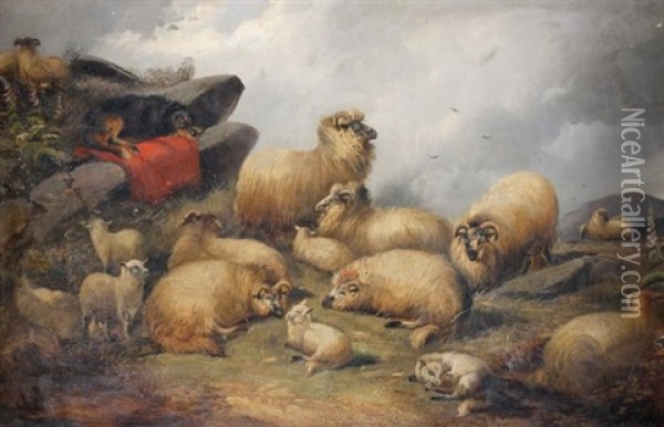 Chien Et Moutons Oil Painting - Charles Jones