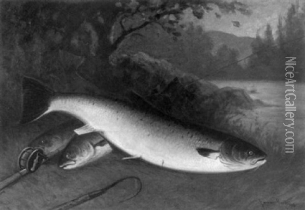 The Day's Catch, A Still Life With Trout And Rod Oil Painting - C. Myron Clark