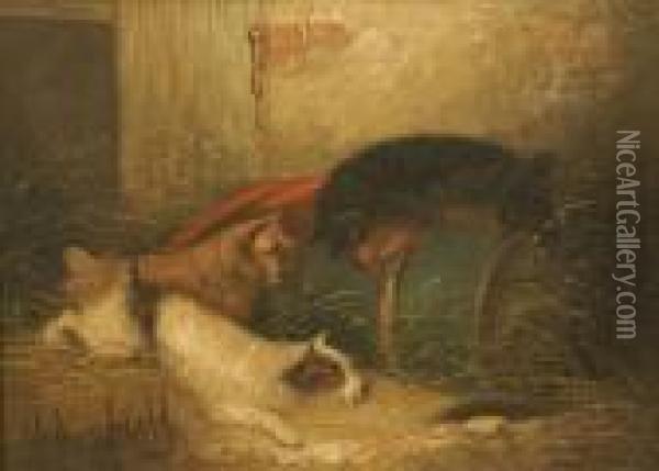 Terriers Ratting In A Barn A Pair Oil Painting - George Armfield
