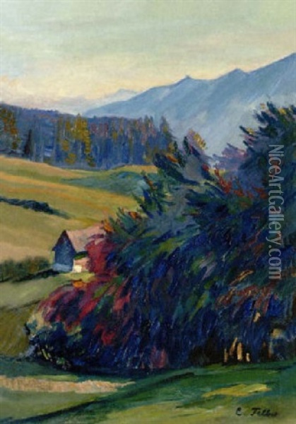 Hugelige Wiesenlandschaft, Im Hintergrund Berge Oil Painting - Carl Friedrich Felber