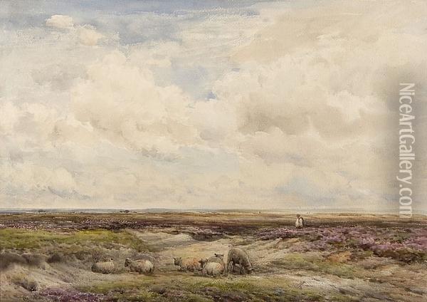 Sheep Grazing On A Moorland Oil Painting - Claude Hayes