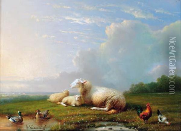 Sheep Grazing With Chickens And Ducks; And Sheep Grazing Withchickens Oil Painting - Franz van Severdonck