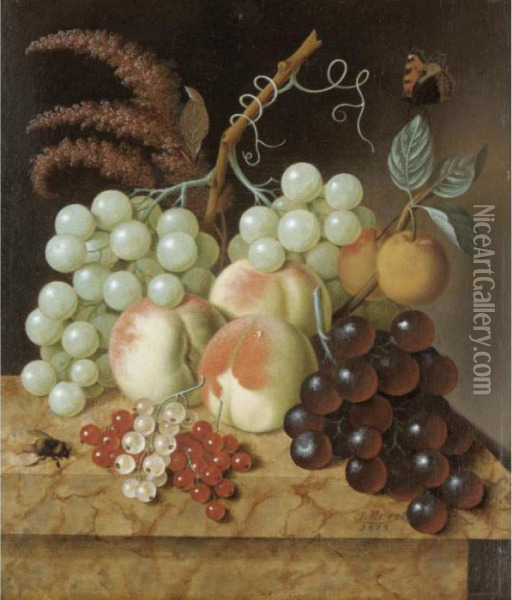 Still Life With Peaches, 
Apricots, Grapes, Berries, A Fly And A Butterfly On A Marble Ledge Oil Painting - Jan Evert Morel