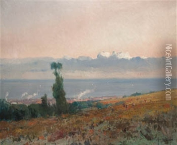 Paisaje De Costa Oil Painting - Eliseo Meifren y Roig